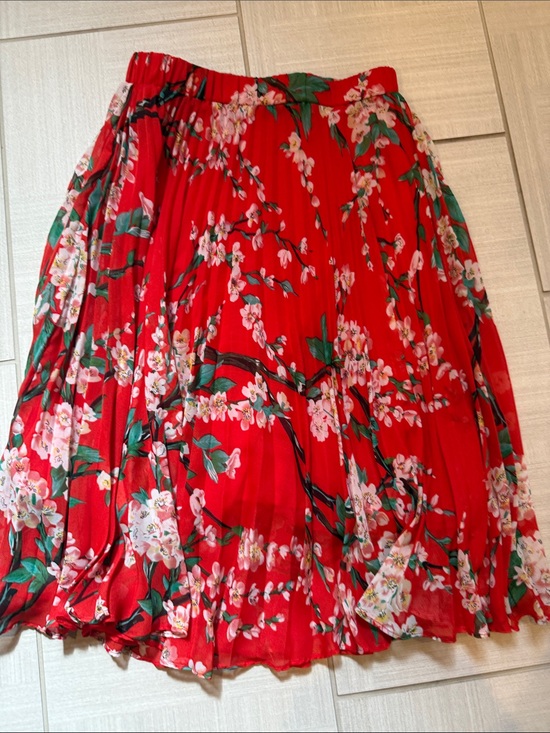 Anthropologie Dresses & Skirts - ANTHROPOLOGIE Sunday in Brooklyn Red Floral Pleated Midi Skirt